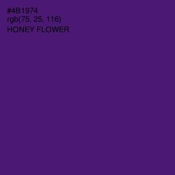 #4B1974 - Honey Flower Color Image