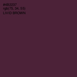 #4B2237 - Livid Brown Color Image