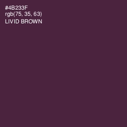 #4B233F - Livid Brown Color Image