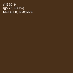 #4B3019 - Metallic Bronze Color Image
