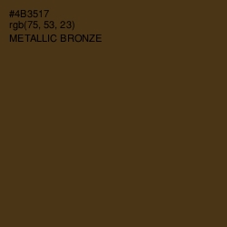 #4B3517 - Metallic Bronze Color Image