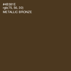 #4B381E - Metallic Bronze Color Image