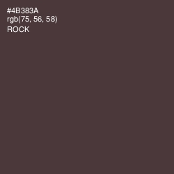 #4B383A - Rock Color Image