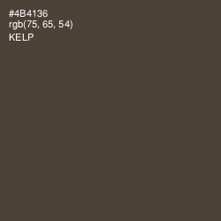 #4B4136 - Kelp Color Image