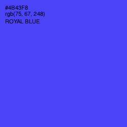 #4B43F8 - Royal Blue Color Image