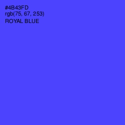 #4B43FD - Royal Blue Color Image