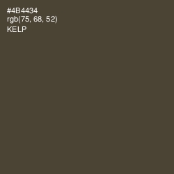 #4B4434 - Kelp Color Image
