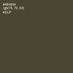 #4B4634 - Kelp Color Image