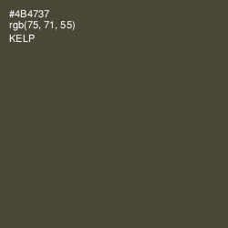 #4B4737 - Kelp Color Image