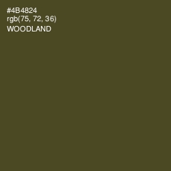 #4B4824 - Woodland Color Image
