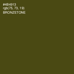 #4B4913 - Bronzetone Color Image