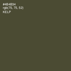 #4B4B34 - Kelp Color Image