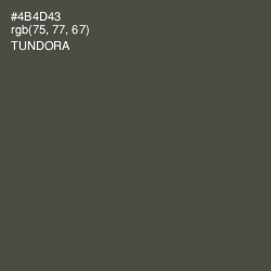 #4B4D43 - Tundora Color Image