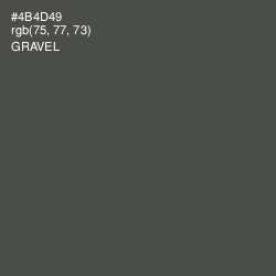 #4B4D49 - Gravel Color Image