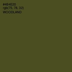 #4B4E20 - Woodland Color Image