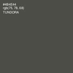 #4B4E44 - Tundora Color Image