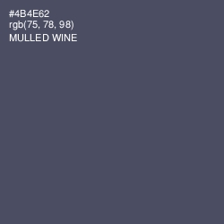 #4B4E62 - Mulled Wine Color Image
