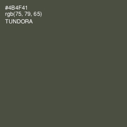 #4B4F41 - Tundora Color Image