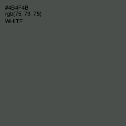 #4B4F4B - Gravel Color Image