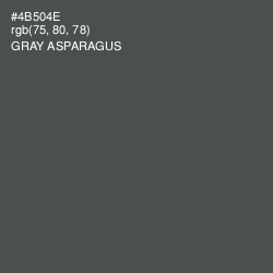 #4B504E - Gray Asparagus Color Image