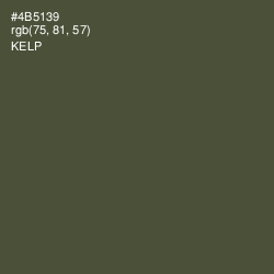 #4B5139 - Kelp Color Image