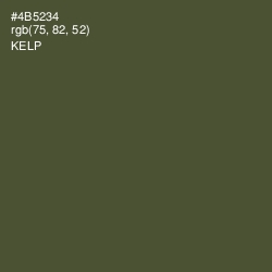 #4B5234 - Kelp Color Image