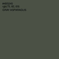 #4B5245 - Gray Asparagus Color Image