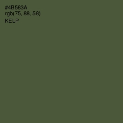 #4B583A - Kelp Color Image