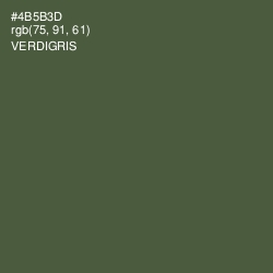 #4B5B3D - Verdigris Color Image
