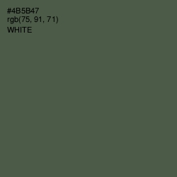 #4B5B47 - Gray Asparagus Color Image