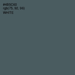 #4B5C60 - Fiord Color Image