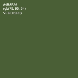 #4B5F36 - Verdigris Color Image