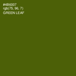 #4B6007 - Green Leaf Color Image