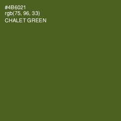 #4B6021 - Chalet Green Color Image