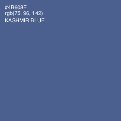 #4B608E - Kashmir Blue Color Image