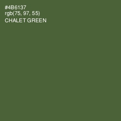 #4B6137 - Chalet Green Color Image