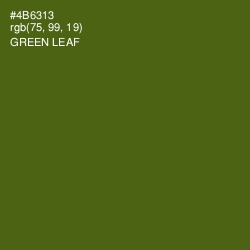 #4B6313 - Green Leaf Color Image