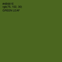 #4B661E - Green Leaf Color Image