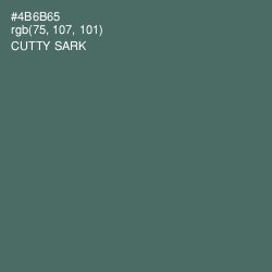#4B6B65 - Cutty Sark Color Image
