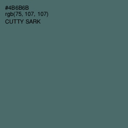 #4B6B6B - Cutty Sark Color Image