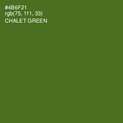 #4B6F21 - Chalet Green Color Image