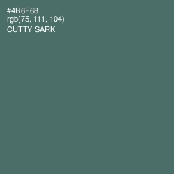#4B6F68 - Cutty Sark Color Image