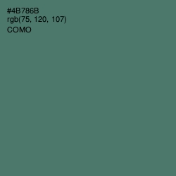 #4B786B - Como Color Image