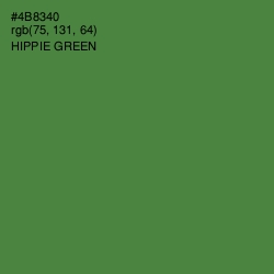 #4B8340 - Hippie Green Color Image