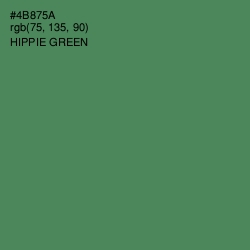 #4B875A - Hippie Green Color Image