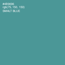 #4B9696 - Smalt Blue Color Image