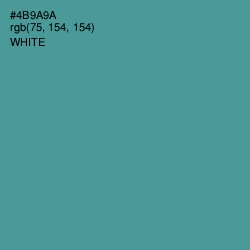 #4B9A9A - Smalt Blue Color Image