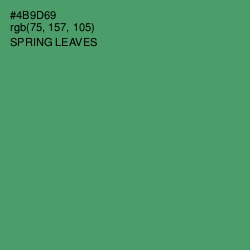 #4B9D69 - Spring Leaves Color Image