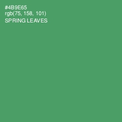 #4B9E65 - Spring Leaves Color Image