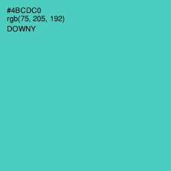#4BCDC0 - Downy Color Image